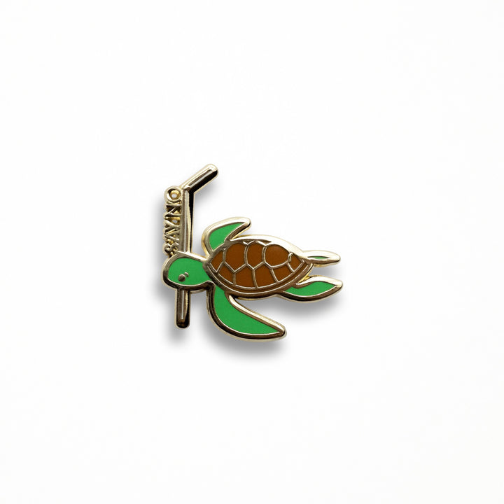 Verbal Turtle Pin